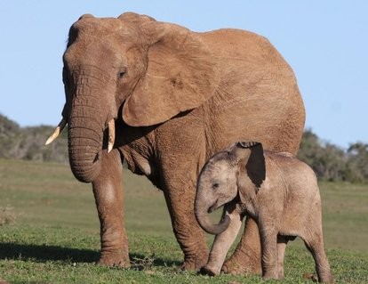 我的爱好之一是的英语,我的爱好之一是弹钢琴用英语怎么说
