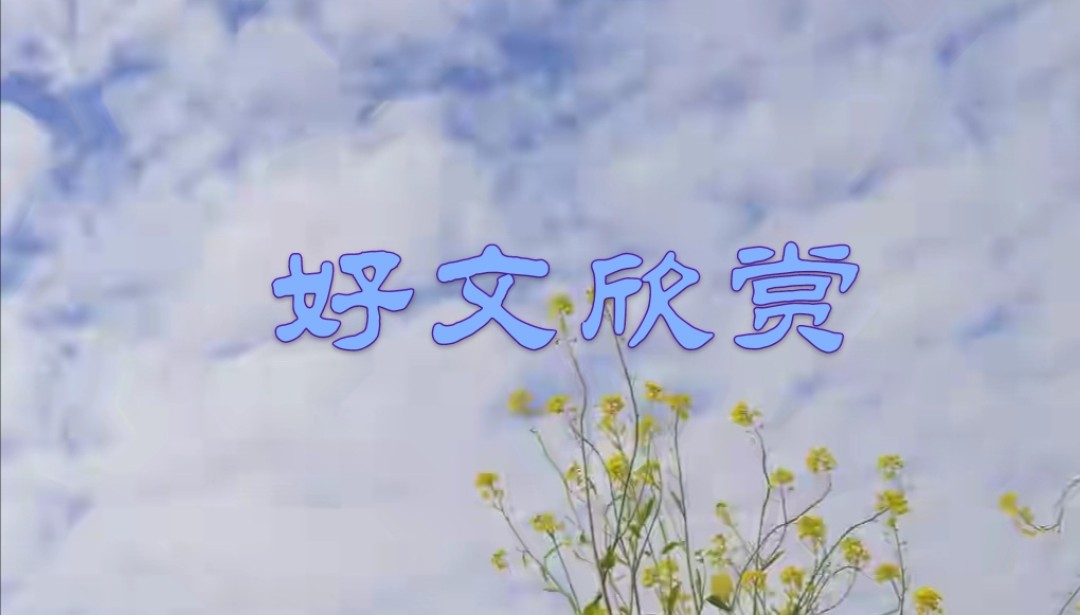 全国一等奖作文600字,关于祖国的作文一等奖