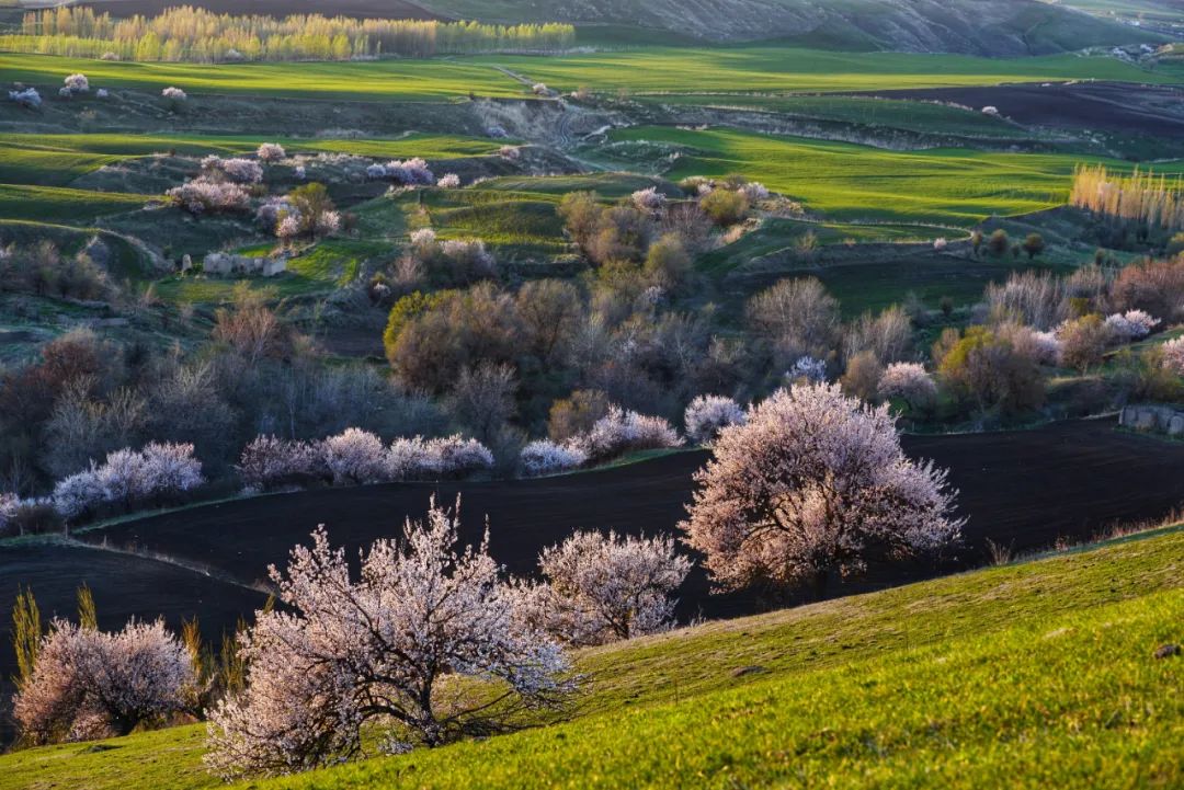伊犁最美的50处绝色美景,伊犁最美的小众景点