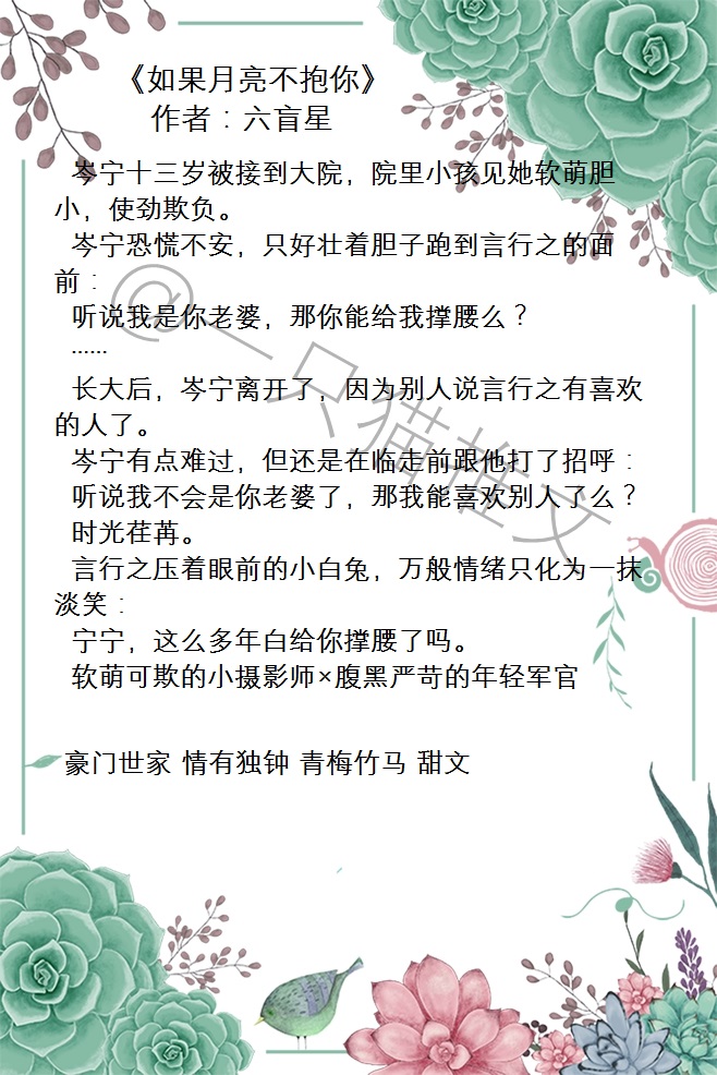 小说推荐甜宠文古风完结摄政王,双男主摄政王甜宠文推荐