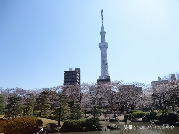 日本东京区位置选择,日本东京最好的区