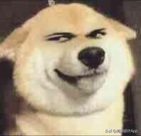 ppt好的素材和插图从哪里来,做ppt图片都是在哪找的带文字