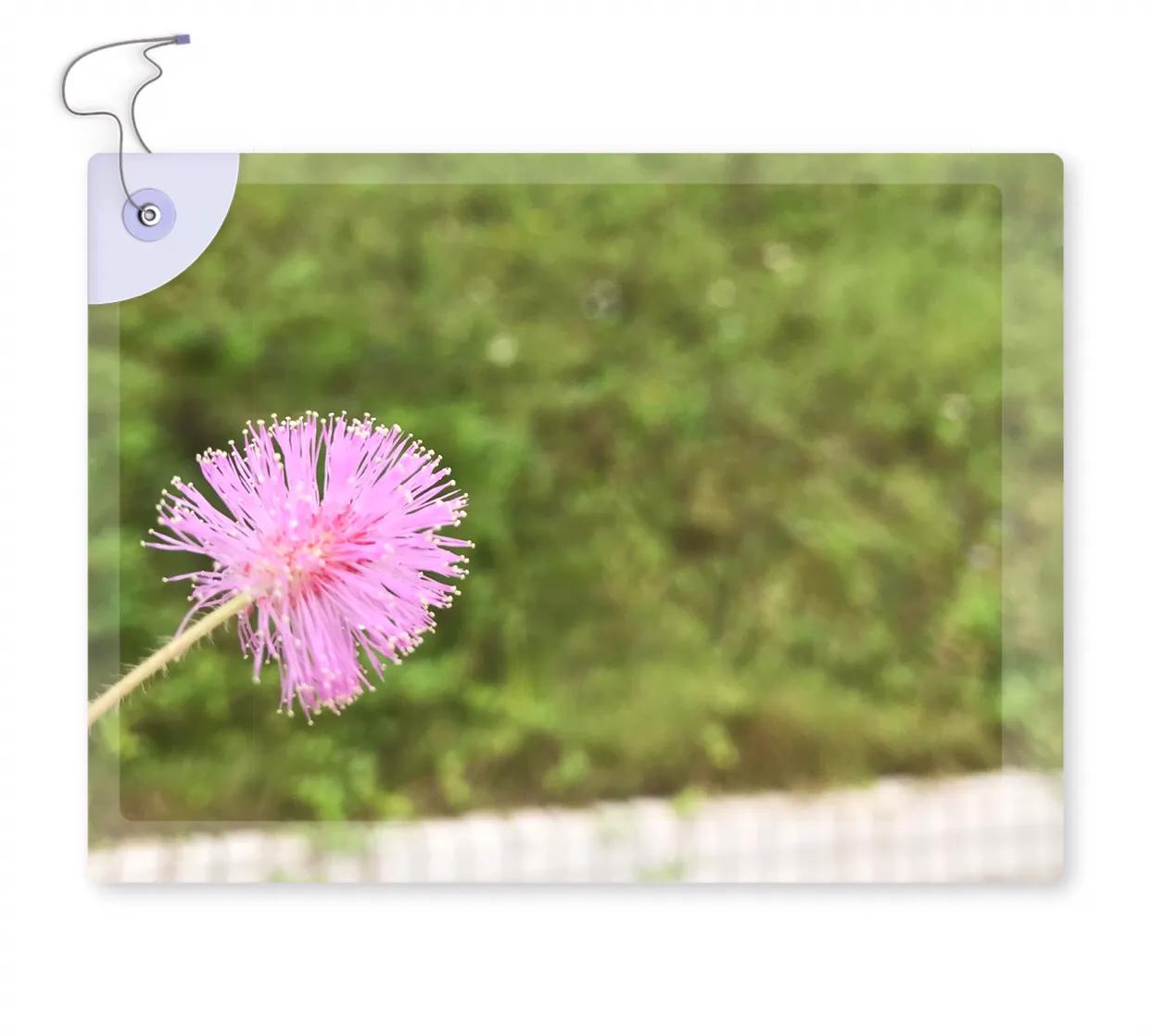 当你不知道怎么教育孩子时,当你不知道如何教育孩子