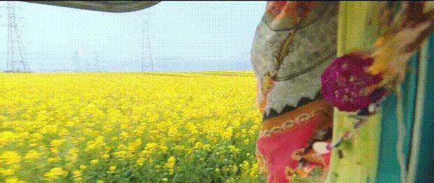 刘青云五大经典片段,刘青云经典感人片段