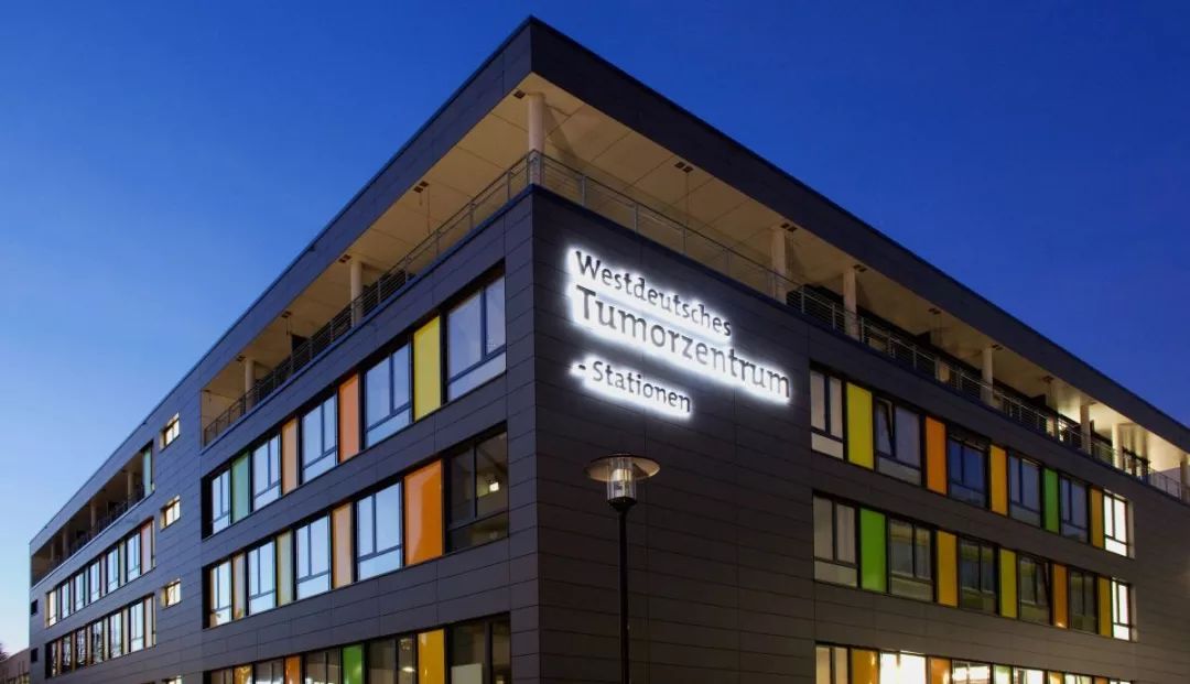 德国医学院解剖人体,德国夏利特医学院