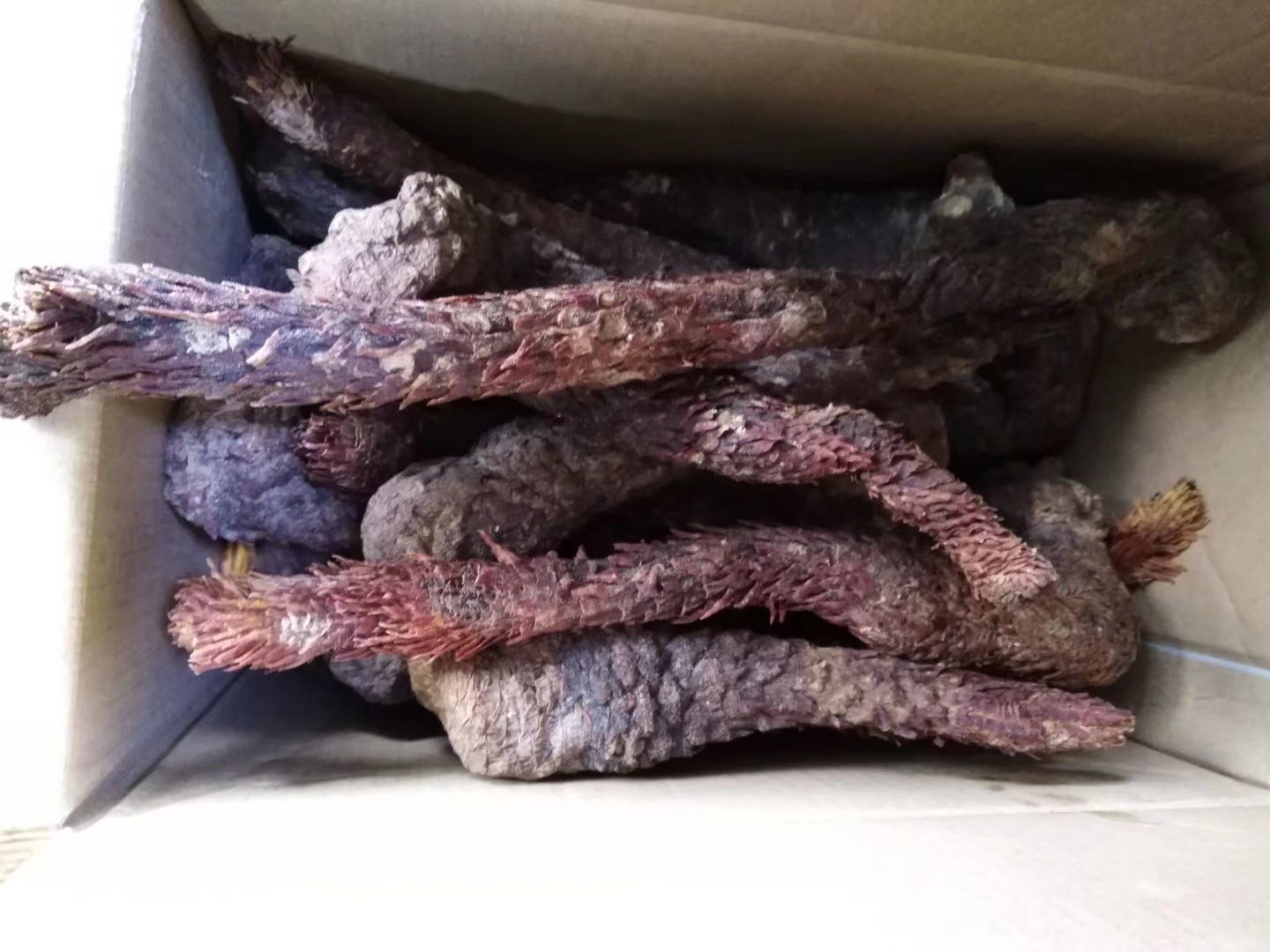 便宜代寄,代购代送