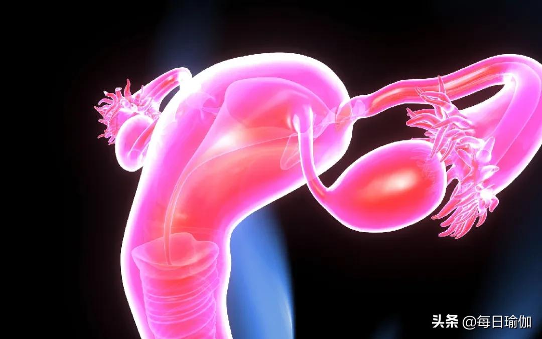 一胎不修复二胎更严重！4招恢复盆底肌