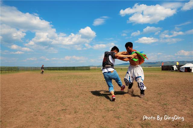 乌拉特羊肉和锡盟羊肉哪个好,锡盟羊肉跟内地羊肉有什么区别