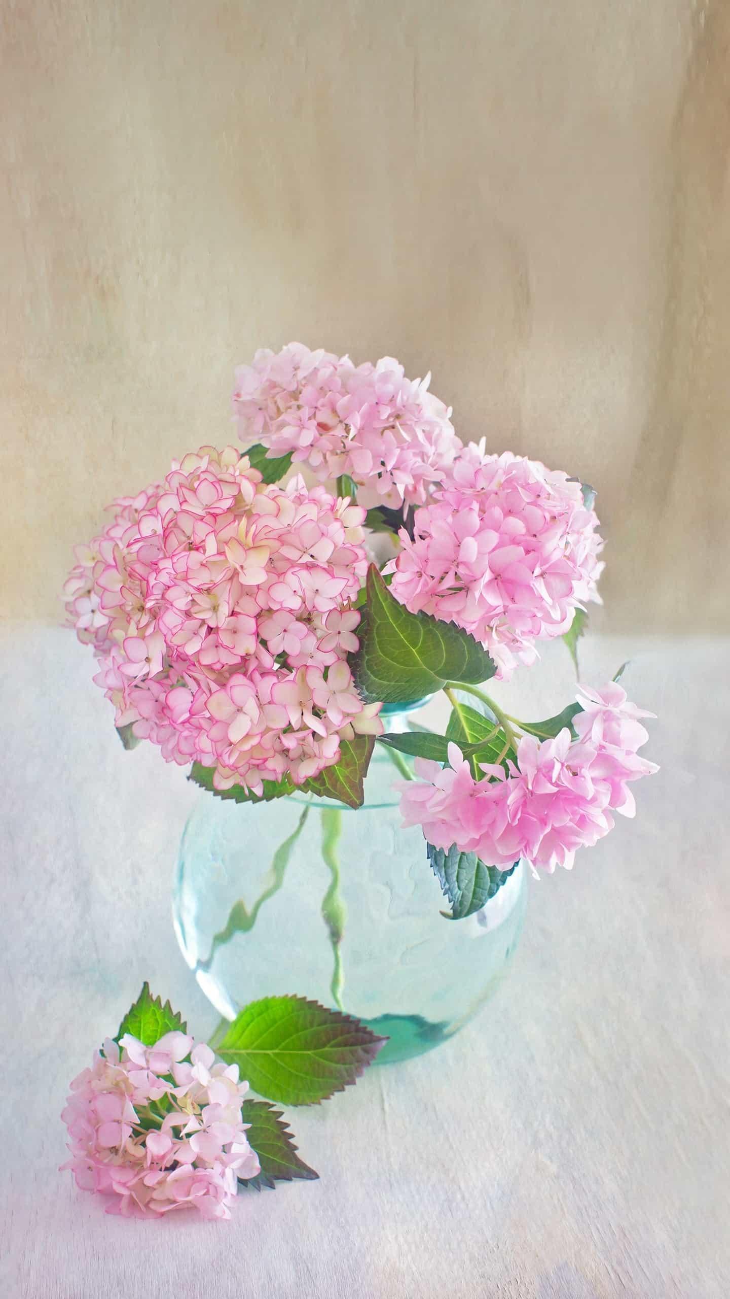 简单易学的中医面诊辨证五脏问题,中医如何诊断内脏疾病