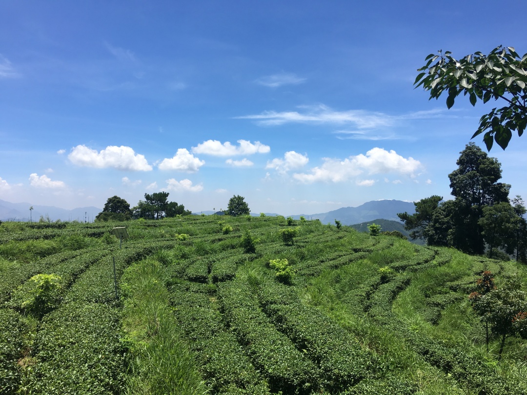 小孩为什么容易感冒咳嗽,小孩容易感冒咳嗽什么原因