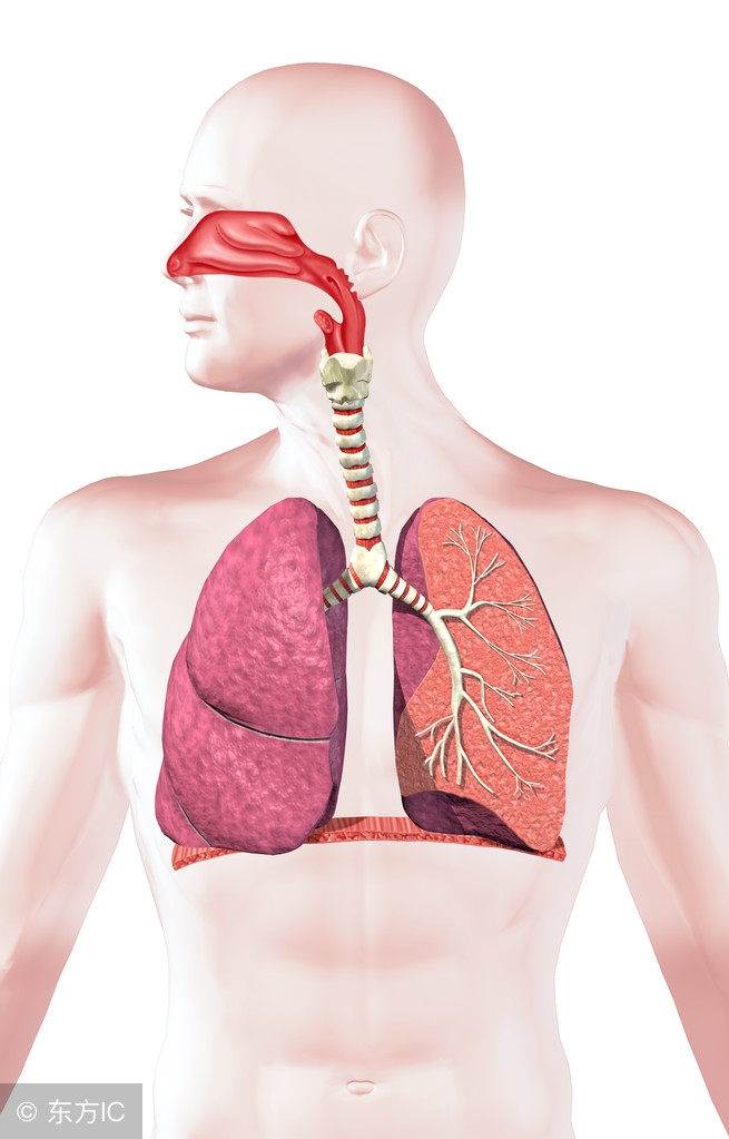 出院时，帅哥盯着费用清单哀叹：这个小真菌的棉被哟，真烧钱！