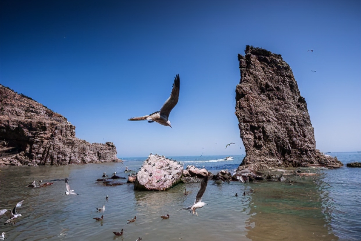 山东荣成旅游最新视频,游遍威海