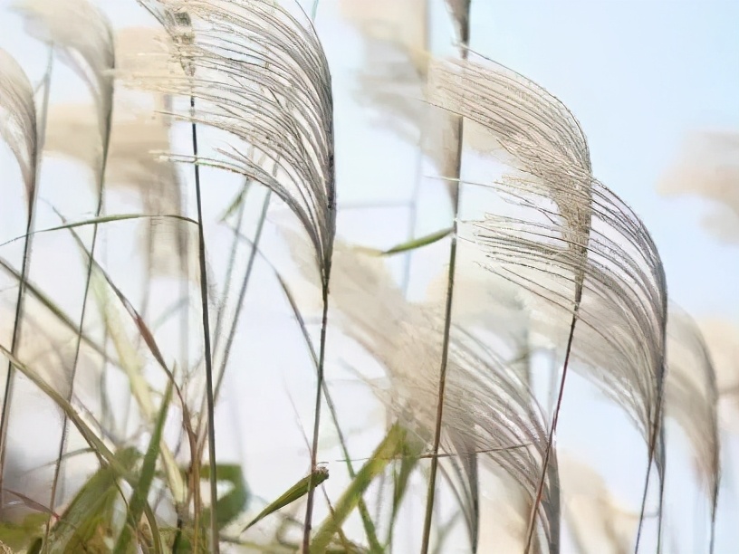 苏州东山西山包吃住农家乐推荐,苏州西山林屋洞附近包吃包住民宿