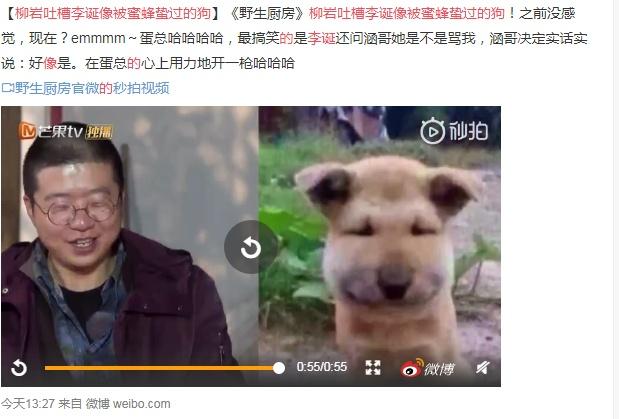 柳岩吐槽李诞眼睛太小,柳岩李诞脱口秀