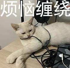 买iphone13就有耳机吗,现在买iphone13还合适嘛