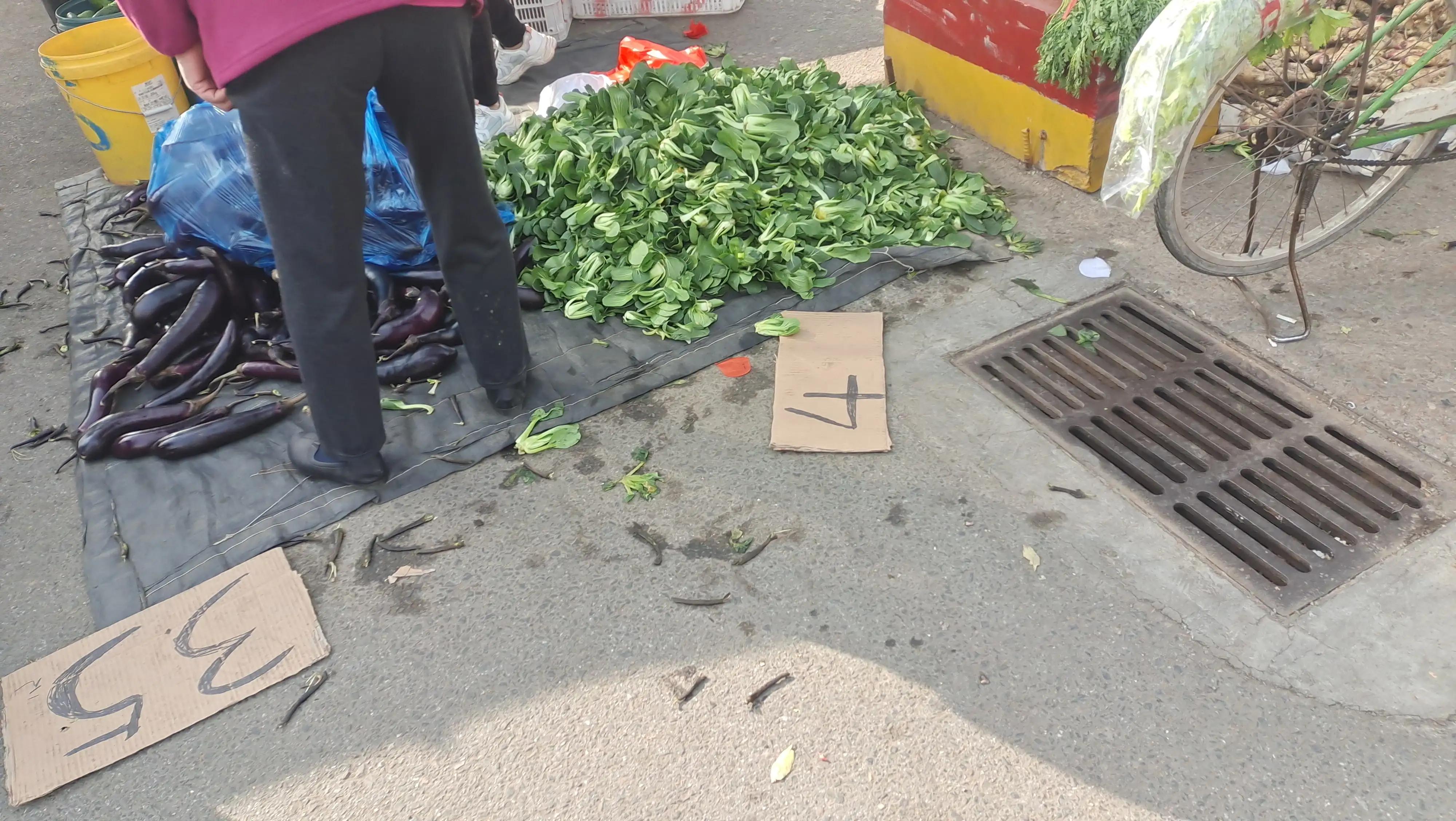 青岛城阳每日菜价查询官网,城阳惜福镇青松生态园菜价