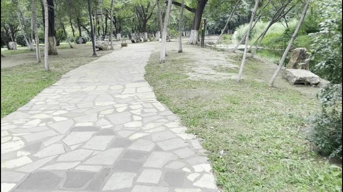 自动开合，三轴一体便携无压力-SNOPPA随拍ATOM2自动折叠手机云台