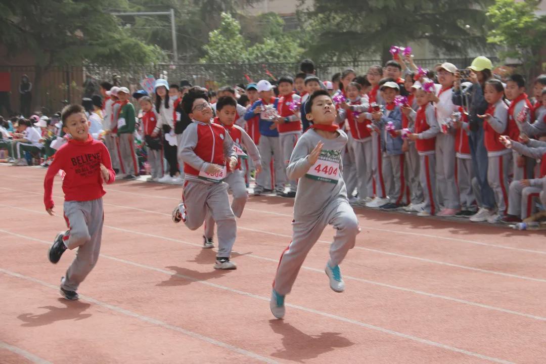 青岛市书院路小学,青岛书院路小学好吗