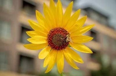 和谁在一起将会改变你的人生走向,和谁在一起决定你成为什么样的人