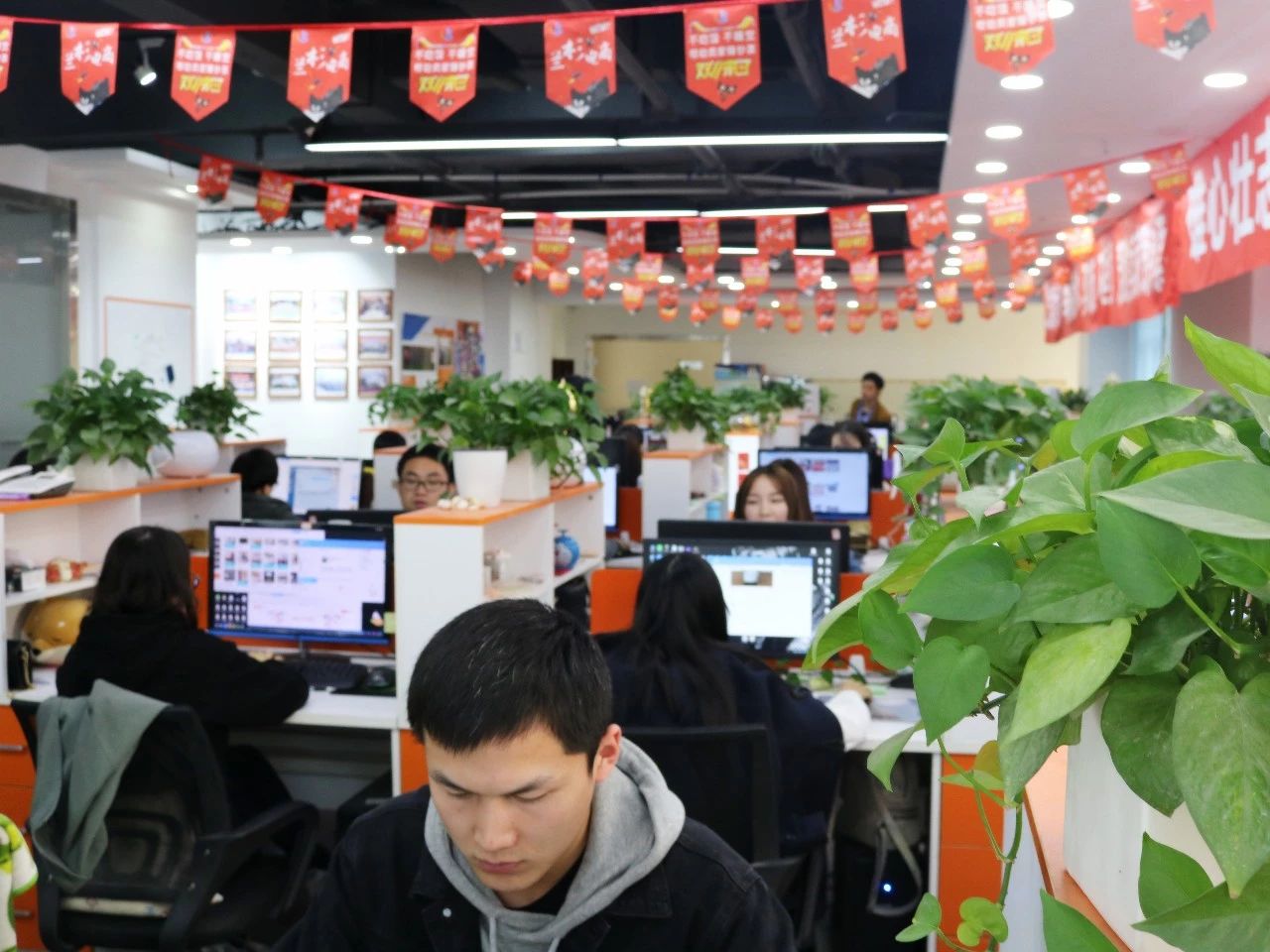 新纪录2019天猫双11销售额2684亿,23年双十一电商爆单