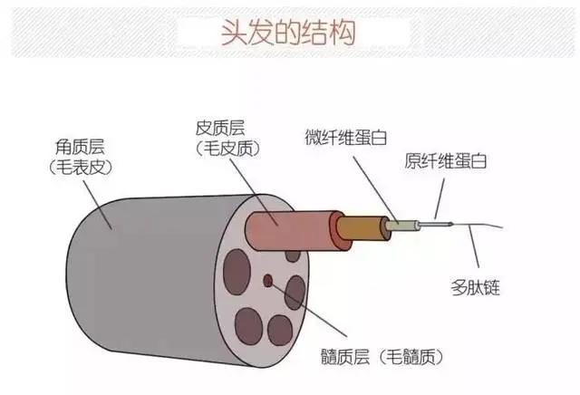 头发毛躁自然卷有什么妙招,自然卷头发怎么永久性变直