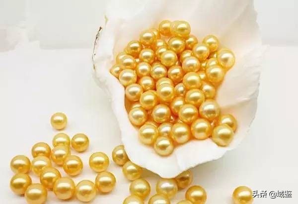 有收藏价值的珍珠品牌,为什么珍珠没有收藏价值