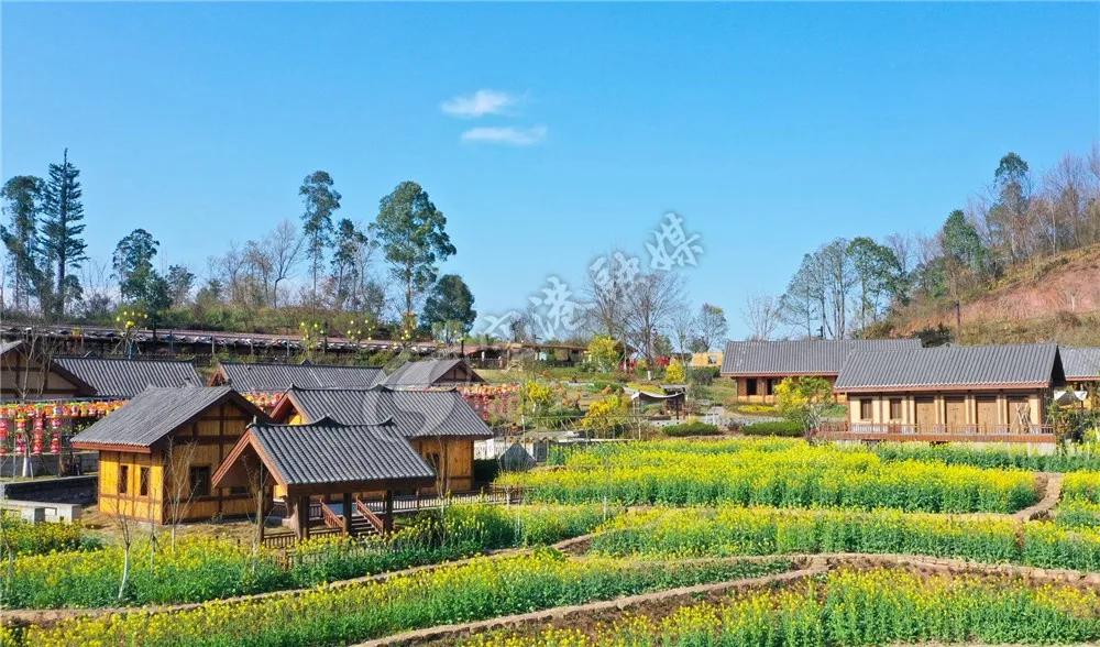 2020年4月成都双流赏花地点,双流踏青赏花地