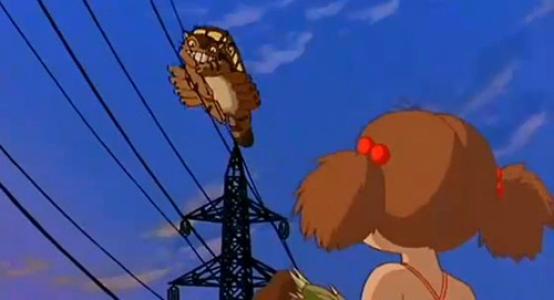 十大名猫动漫,动漫排行榜前十名京剧猫