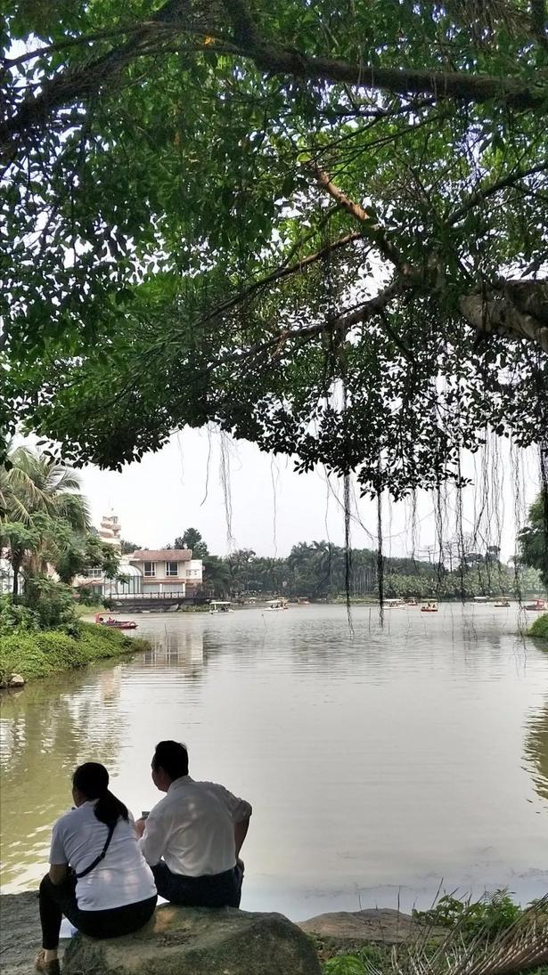 深圳海上田园一日游,深圳宝安海上田园风景