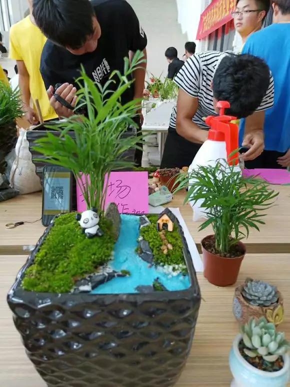 学考热门学校,学考热门专业院校