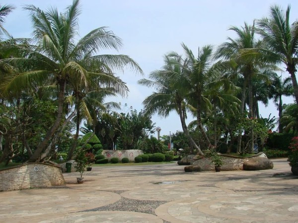 一个人在海边玩一天,一个人在海边怎么玩