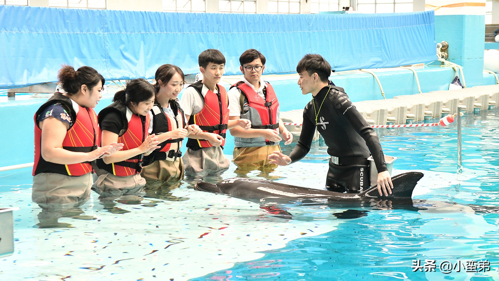 香港巡礼|是谁！敢拿水枪给20岁的海贼王庆生？