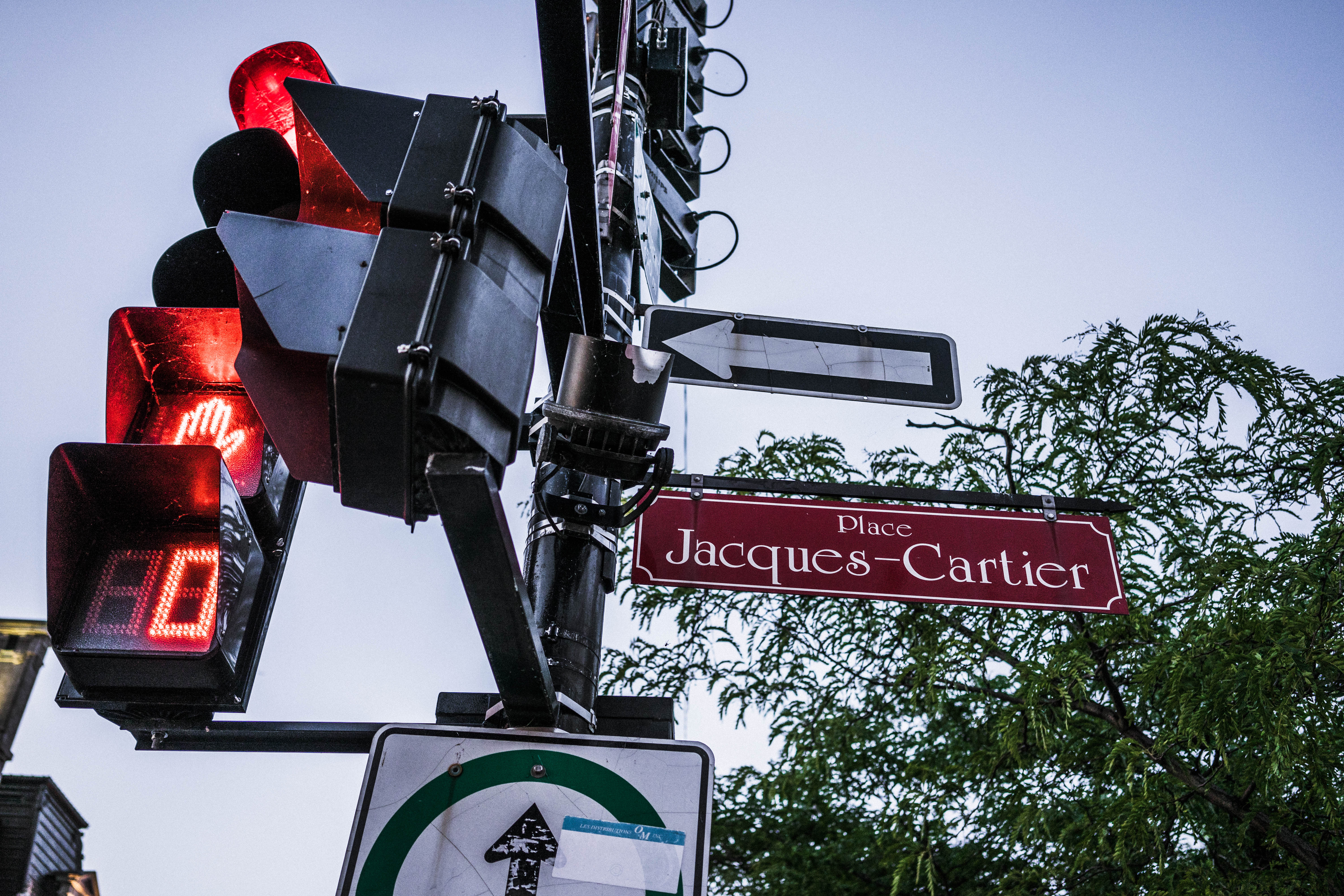 席琳迪翁蒙特利尔,席琳迪翁的旷世爱情