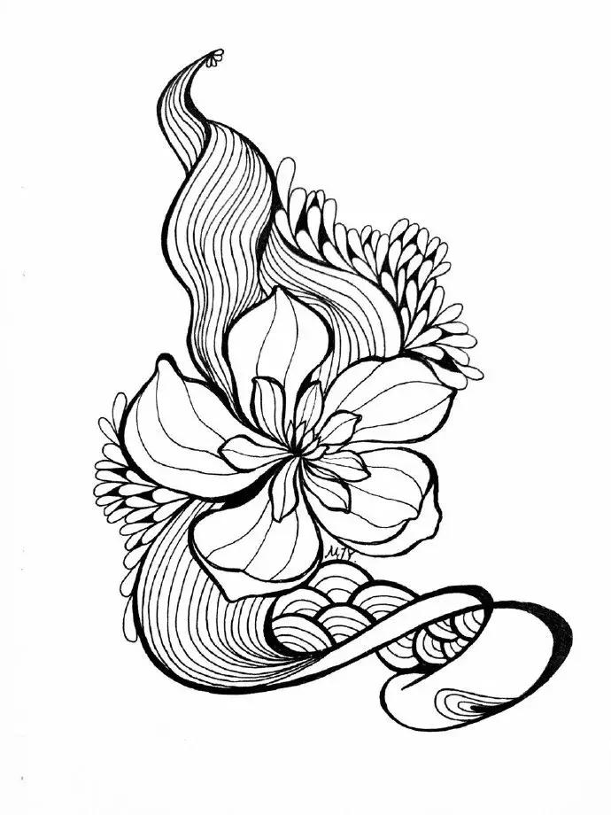 高级线描画花卉大全,花卉线描100种