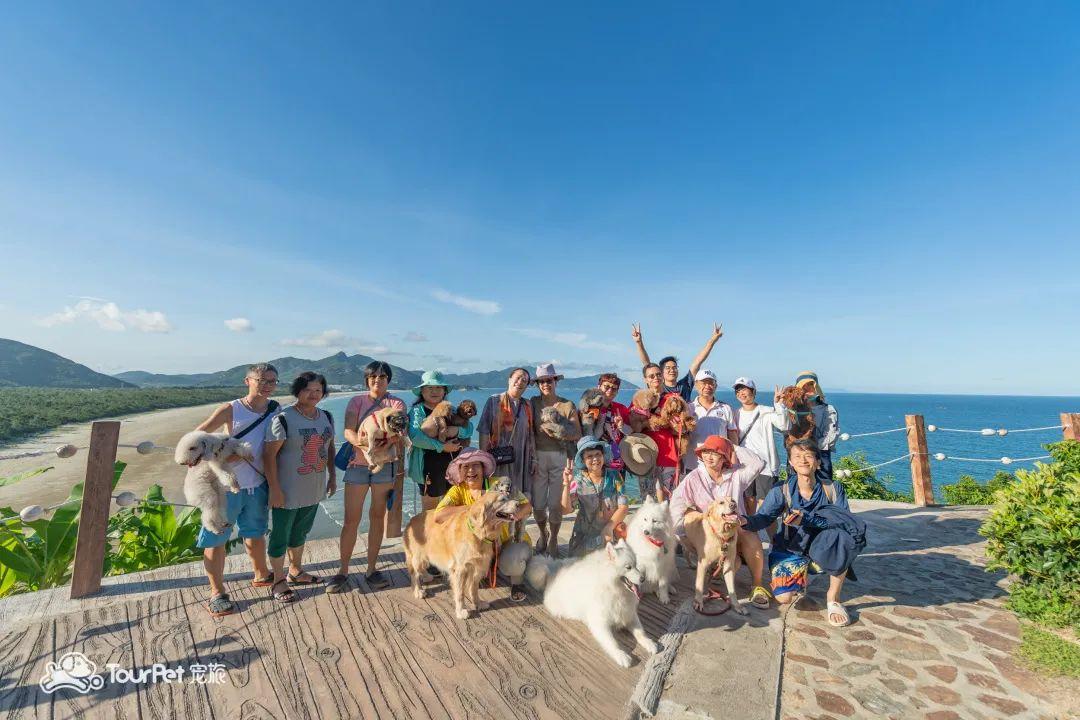 带着宠物去旅行的日常生活,想带着宠物一起旅游哪种好