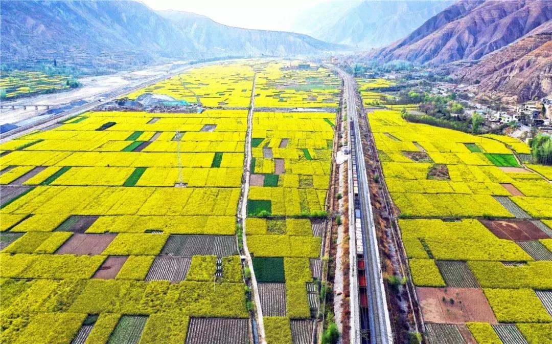 武都的风景大全,武都美丽景色