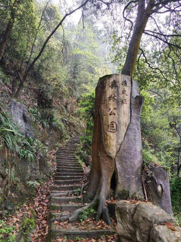 乡村旅游脱贫致富视频,贵州66个贫困县全部脱贫