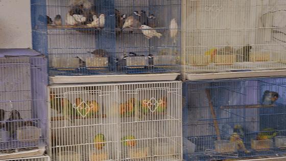 重庆的大型批发市场,最新最全重庆批发市场一览表