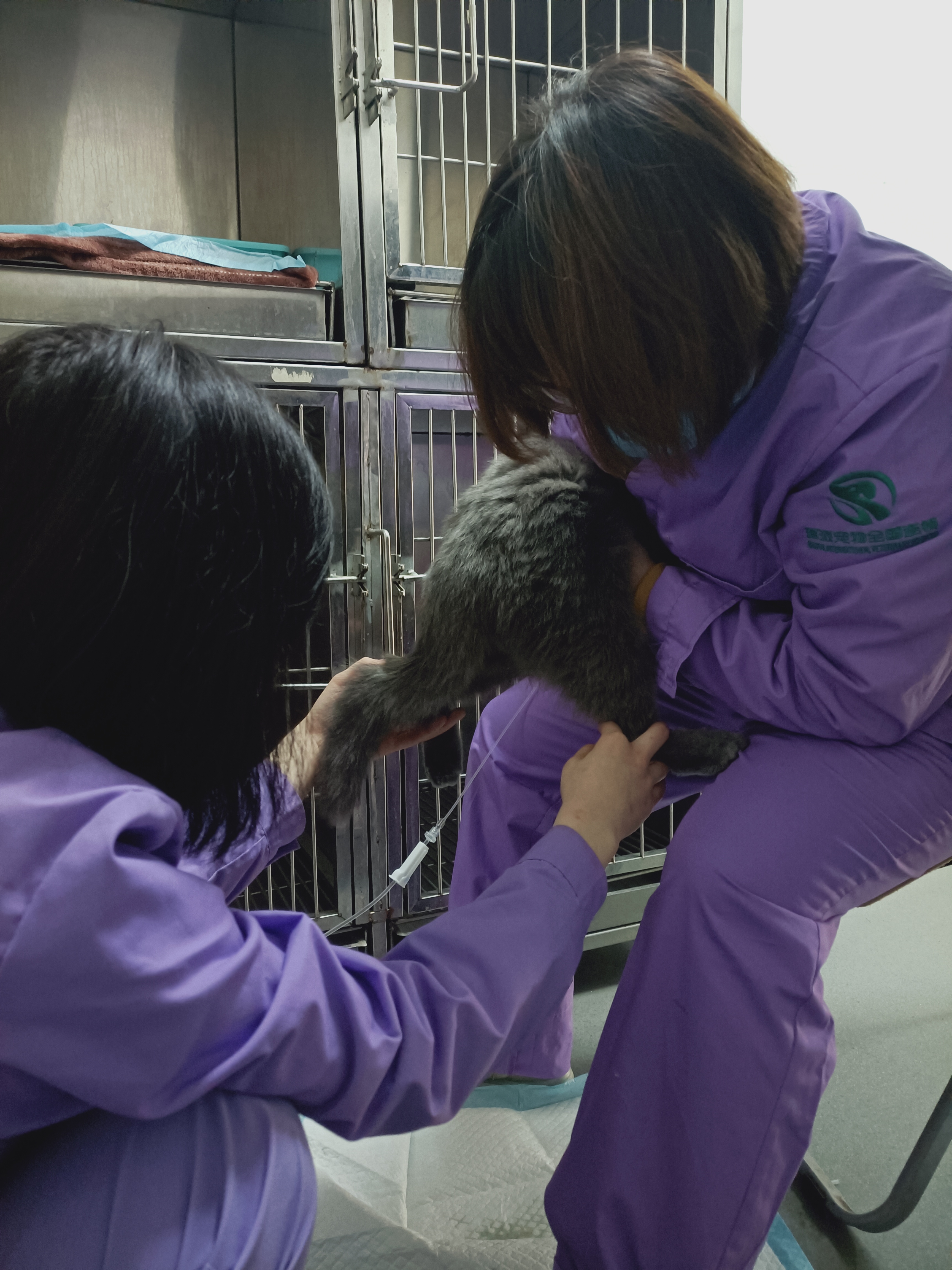 被遗弃的小熊软糖,被遗弃的糖宝