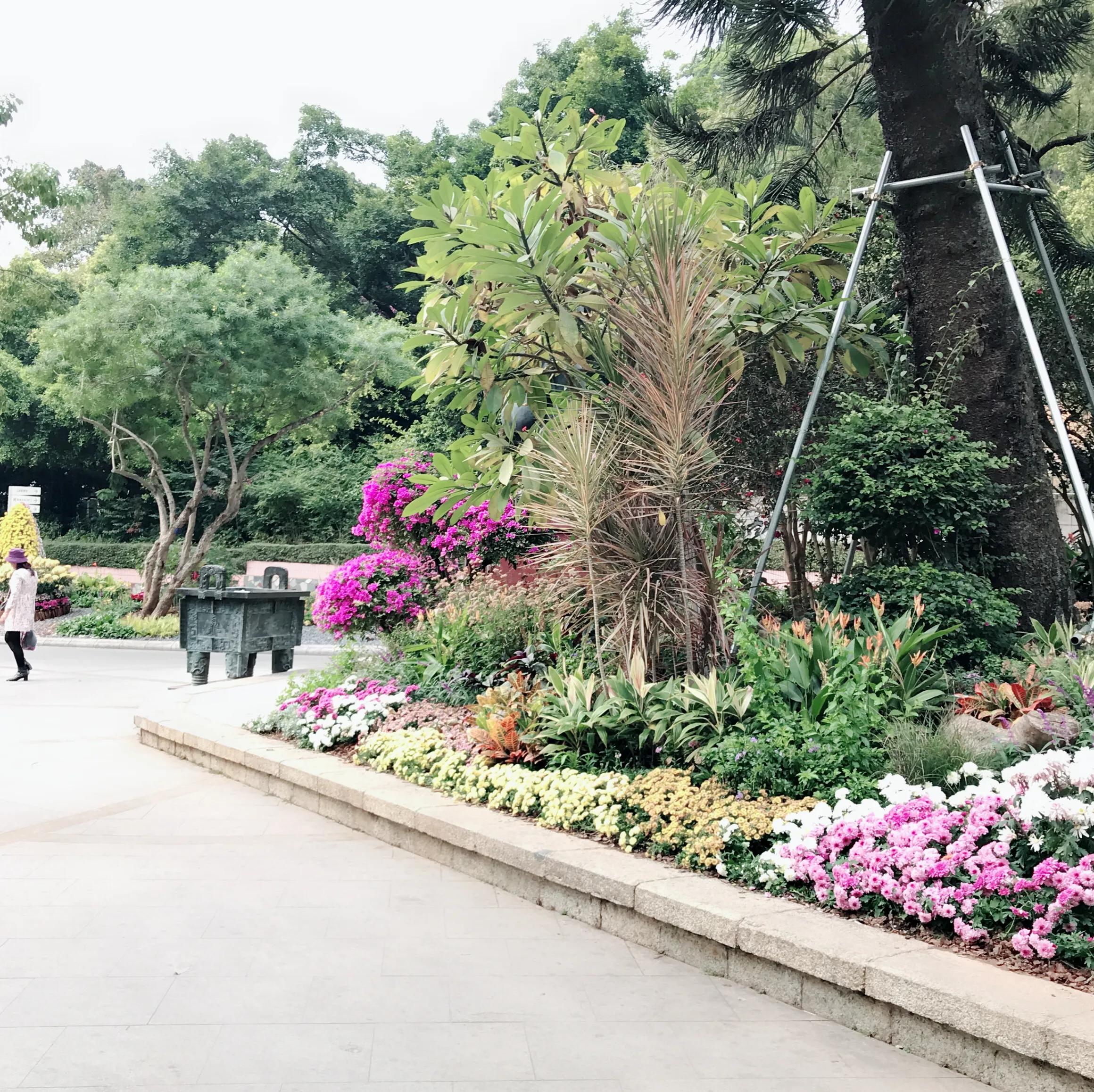 閬涘▋濂藉幓澶勮強鑺卞睍,娣卞湷閬涘▋鐪嬪睍