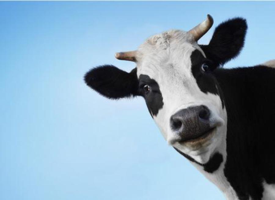 推荐5个新手爸妈必备的宝藏app,养娃必备哪个app