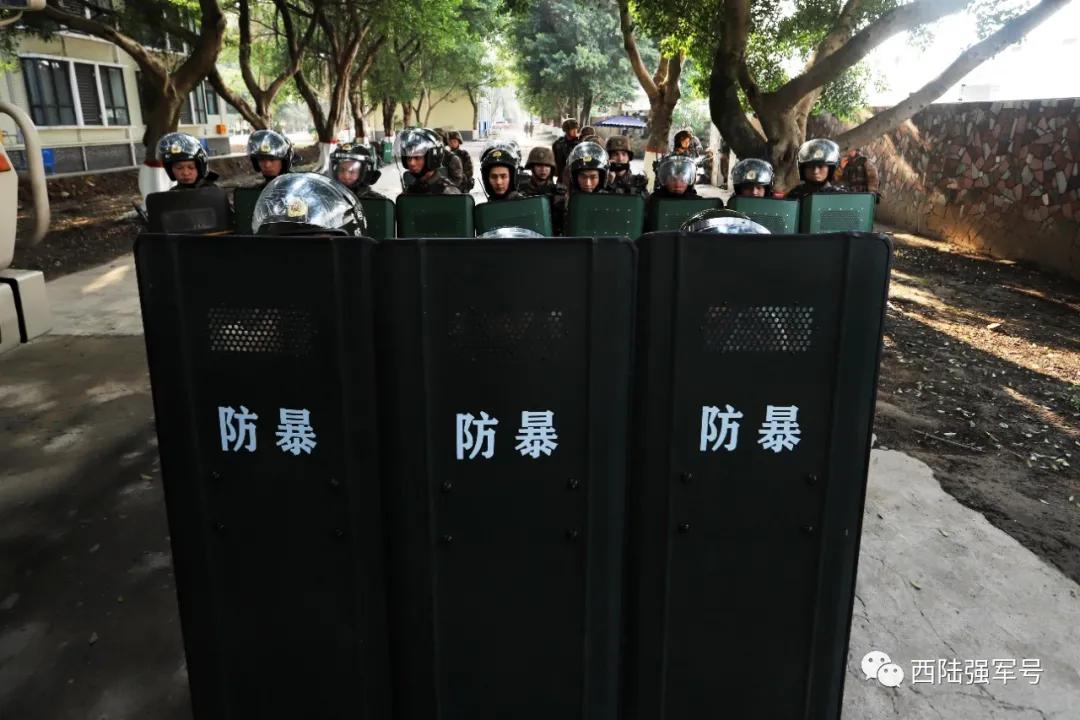 元旦假期狂欢,这个元旦假期是怎么过的