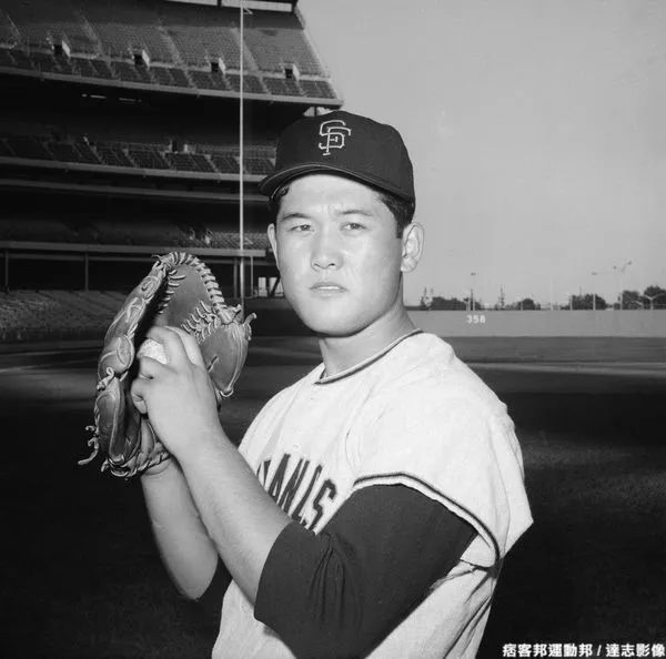 鏃ユ湰妫掔悆杞細鍒跺害,妫掔悆鑱旂洘杞細