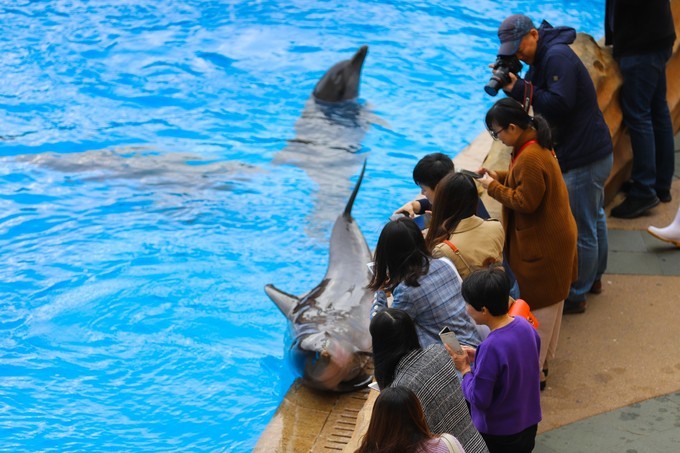 玩转珠海酒店,玩转珠海长隆全攻略