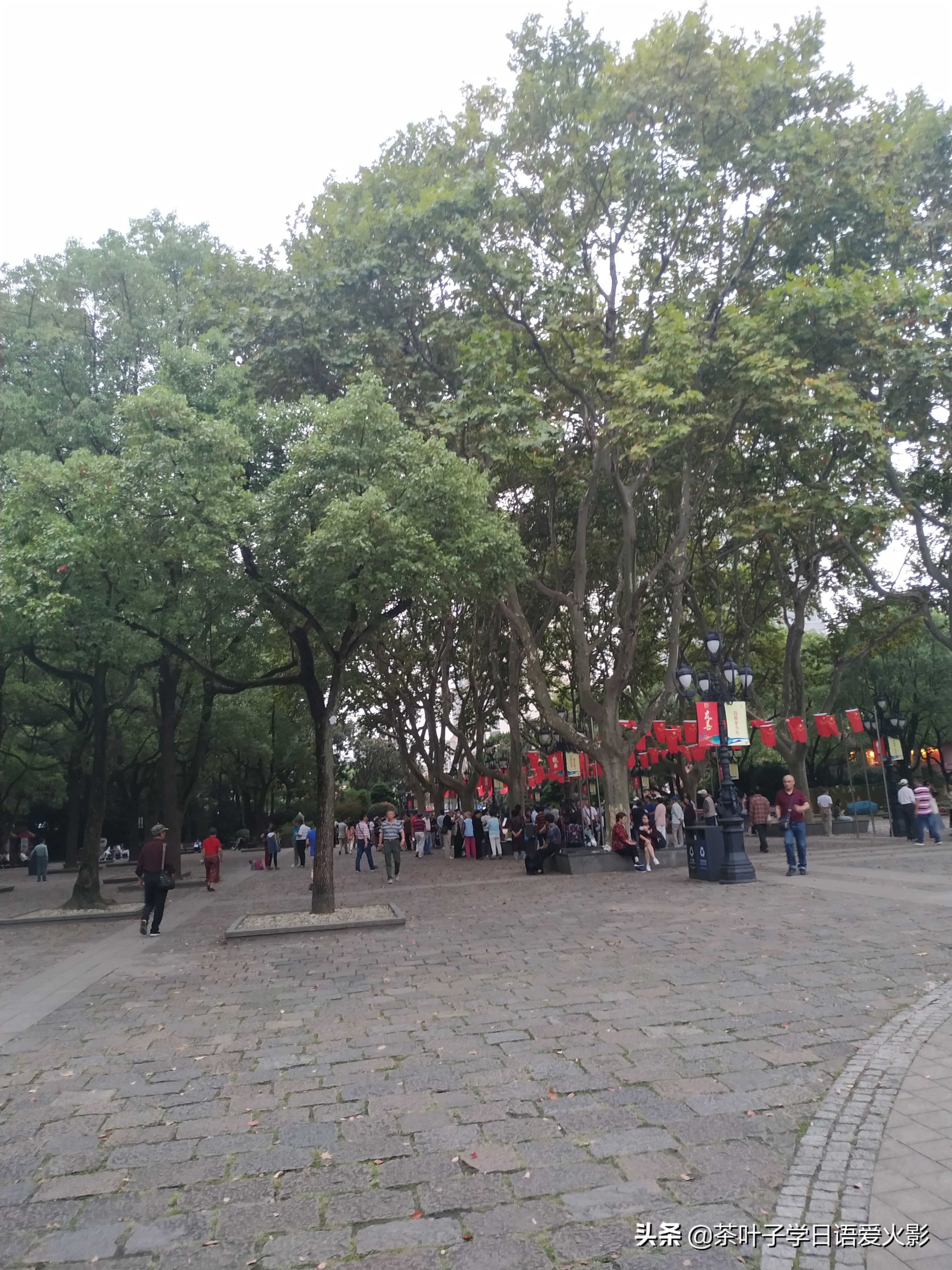 上海甜爱路，打卡不要错过哦，还有鲁迅公园