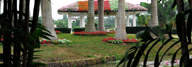 福建省漳州旅游景点大全,福建省漳州市风景区旅游景点介绍