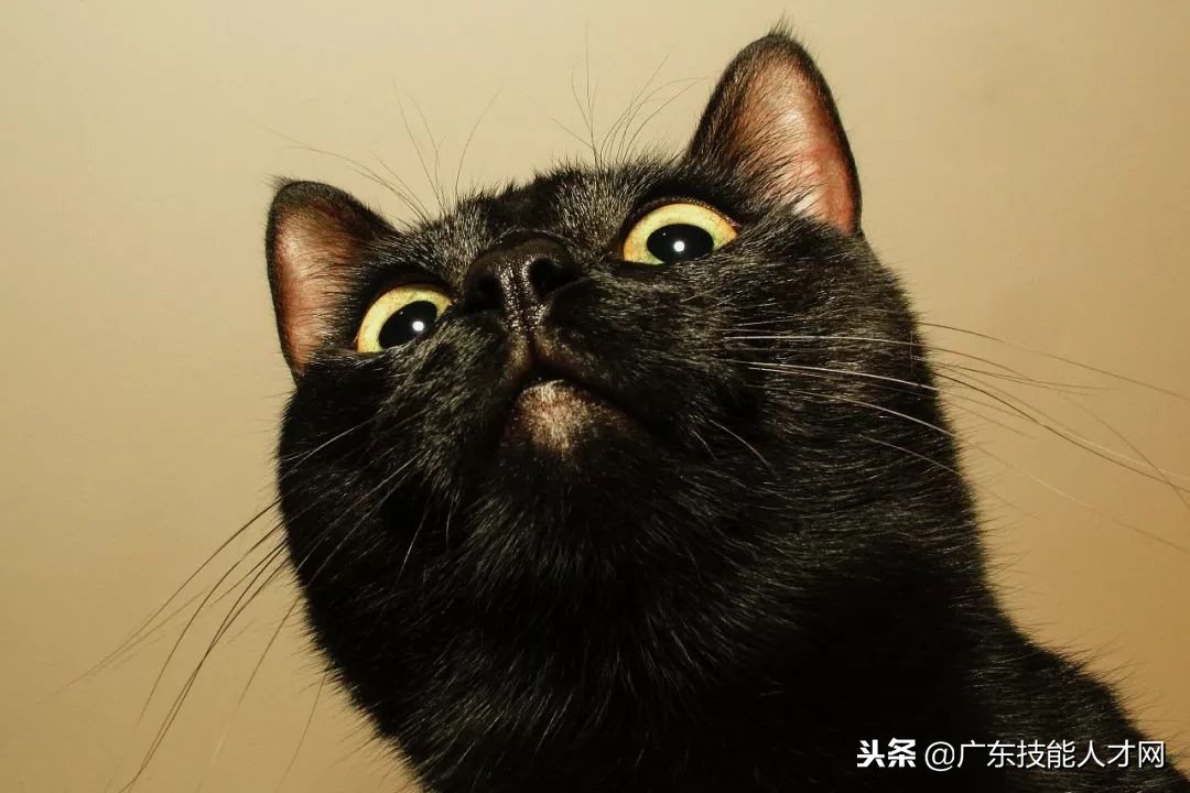 职场励志壁纸超清,职场图片壁纸