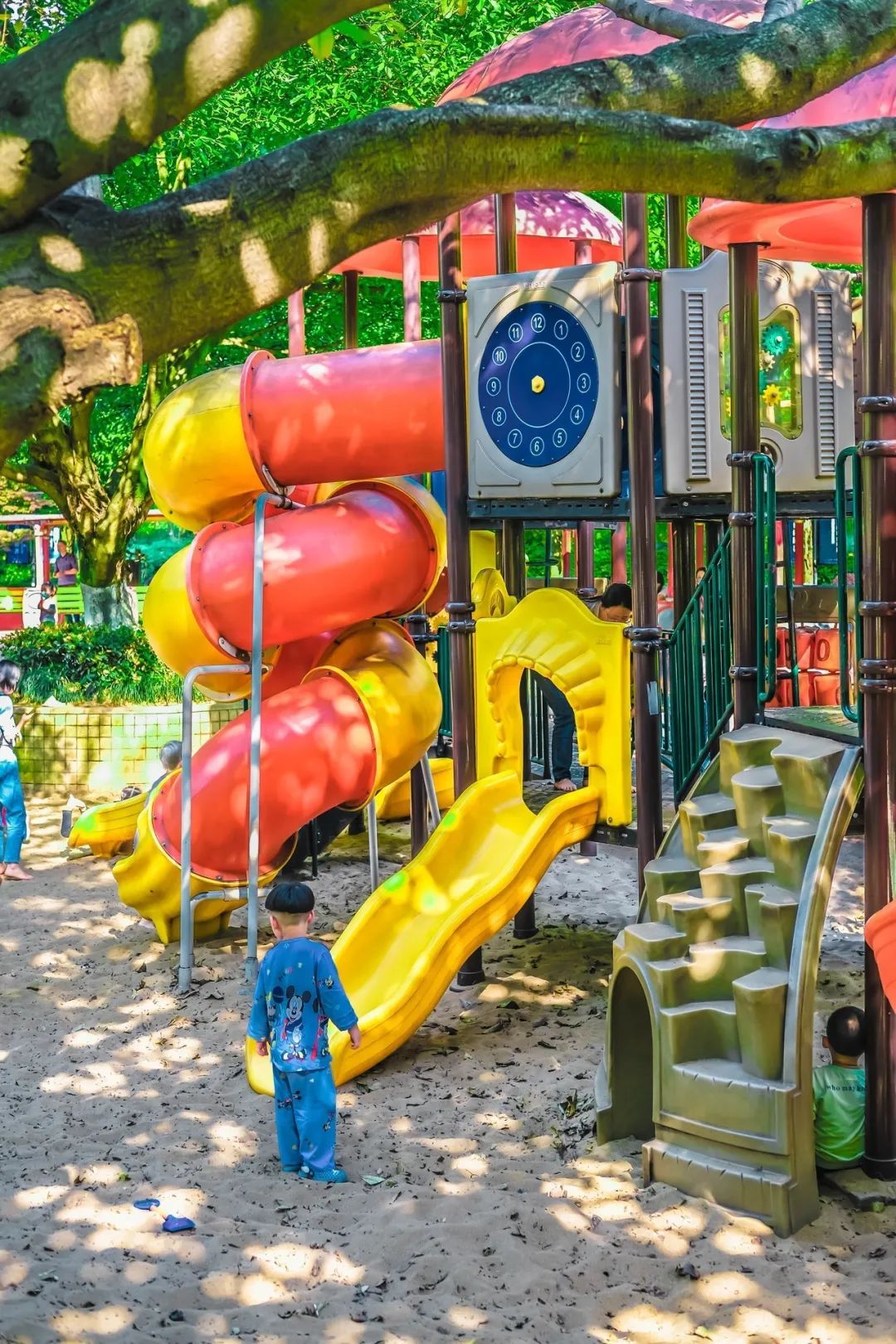 春意盎然的湿地公园,一个风景如画美丽休闲的公园