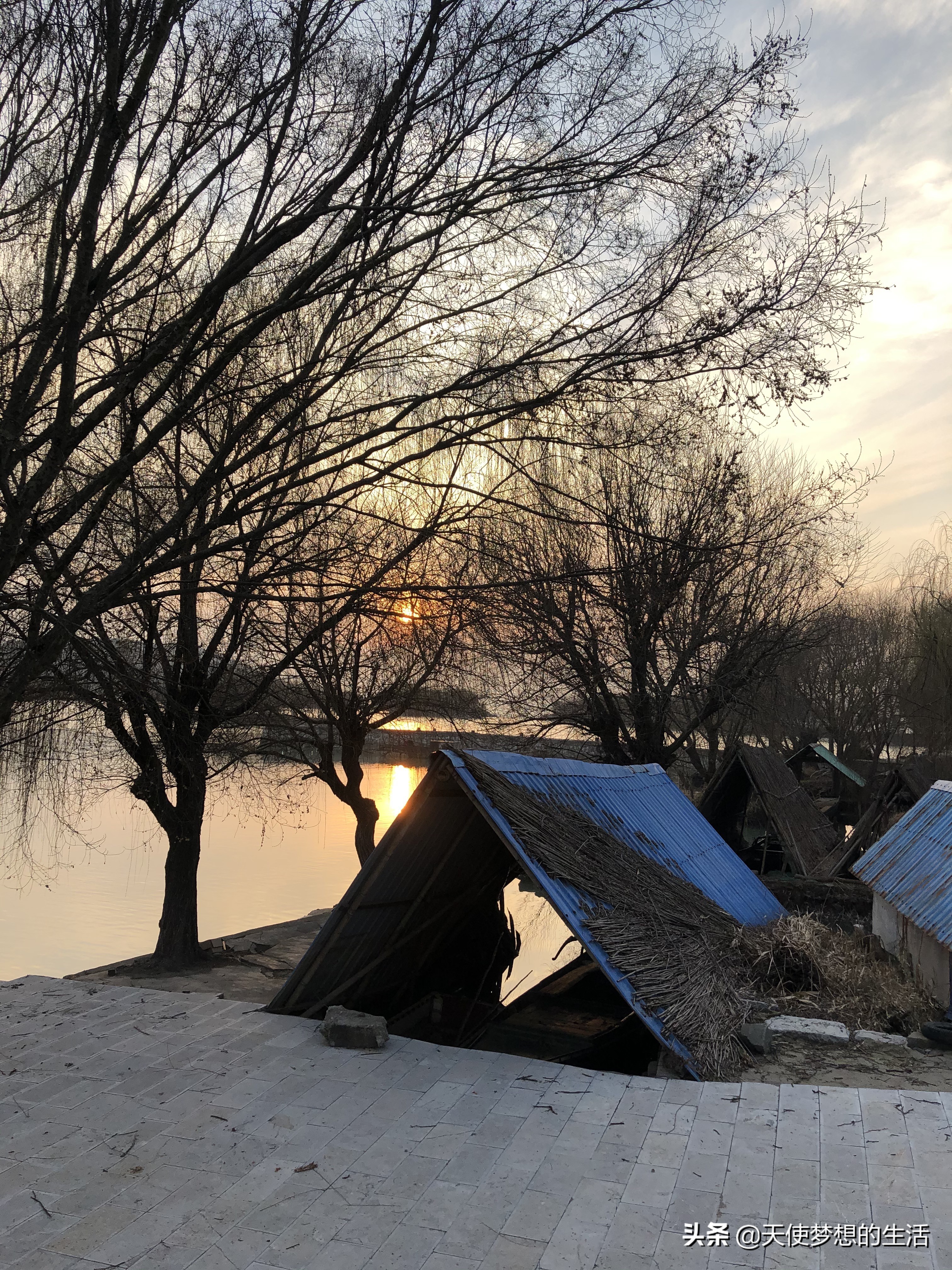 苏州太湖三山岛景区,苏州太湖的三山岛有风景吗
