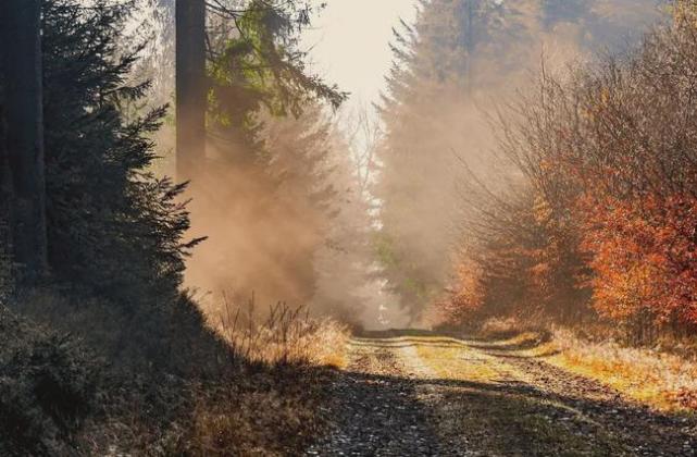 如何成为人间清醒的人,如何培养自己成为自律的人